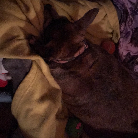 Meet your Posher, Tiff - Picture 1 of 1